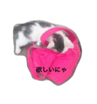 愛しのチビ♡（個別スタンプ：2）