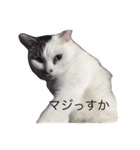 愛しのチビ♡（個別スタンプ：6）