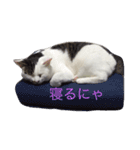 愛しのチビ♡（個別スタンプ：7）