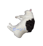 愛しのチビ♡（個別スタンプ：8）