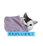 愛しのチビ♡（個別スタンプ：12）