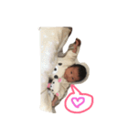 こはるん スタンプ（個別スタンプ：24）