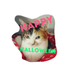 Yoshino's Halloween 2017+（個別スタンプ：3）