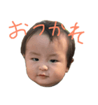 noda bochan（個別スタンプ：1）