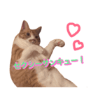 むぎもぐ3（個別スタンプ：6）