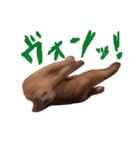 むぎもぐ3（個別スタンプ：10）
