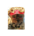 まみと犬の日常（個別スタンプ：4）