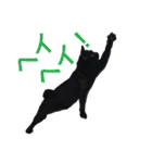 komagorocat（個別スタンプ：2）
