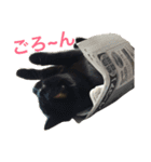 komagorocat（個別スタンプ：23）
