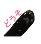 komagorocat（個別スタンプ：32）