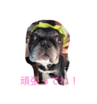 gomachan1（個別スタンプ：7）