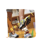 日常で使える犬のコロちゃん（個別スタンプ：7）