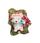 日常で使える犬のコロちゃん（個別スタンプ：9）