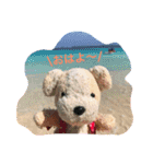 日常で使える犬のコロちゃん（個別スタンプ：16）