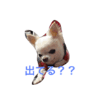 nijinohashinomomo2（個別スタンプ：13）
