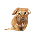 楽しい寝顔のモタちゃん（個別スタンプ：2）