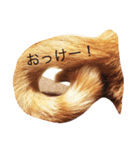 楽しい寝顔のモタちゃん（個別スタンプ：13）