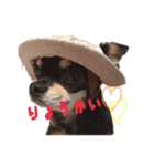 わが家の小波（個別スタンプ：8）