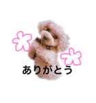 それゆけポコ太くん（個別スタンプ：4）