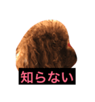 リリィ＆ルーク（個別スタンプ：1）