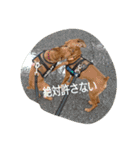 ミニピン ボスドン（個別スタンプ：32）