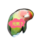 Kuhchan（個別スタンプ：2）