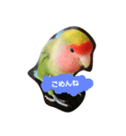 Kuhchan（個別スタンプ：5）