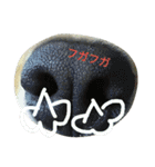 kinako'sstamp2（個別スタンプ：15）