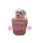 ピオンくん（個別スタンプ：4）
