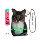 にゃにゃ＆ここ（個別スタンプ：4）