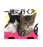 にゃにゃ＆ここ（個別スタンプ：9）