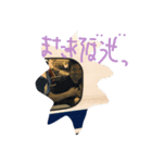 the midnight cowboyz 1（個別スタンプ：6）