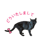 白い犬の猫仲間（個別スタンプ：8）