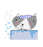 らくがきねこスタンプ（個別スタンプ：11）