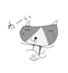 らくがきねこスタンプ（個別スタンプ：21）
