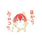 魚金（個別スタンプ：2）