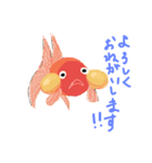 魚金（個別スタンプ：6）
