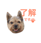 ぼくスキップです！part②（個別スタンプ：1）