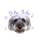 ぼくスキップです！part②（個別スタンプ：3）