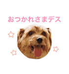 ぼくスキップです！part②（個別スタンプ：4）