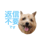 ぼくスキップです！part②（個別スタンプ：10）