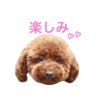 ぼくスキップです！part②（個別スタンプ：13）