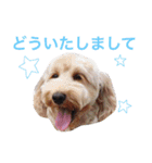 ぼくスキップです！part②（個別スタンプ：14）