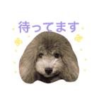 ぼくスキップです！part②（個別スタンプ：15）