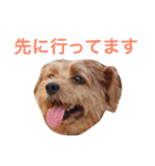 ぼくスキップです！part②（個別スタンプ：17）