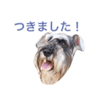 ぼくスキップです！part②（個別スタンプ：18）