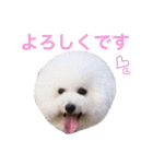 ぼくスキップです！part②（個別スタンプ：20）