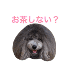 ぼくスキップです！part②（個別スタンプ：25）