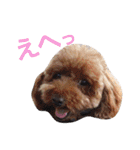 ぼくスキップです！part②（個別スタンプ：31）