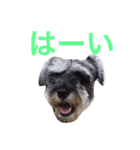 ぼくスキップです！part②（個別スタンプ：33）